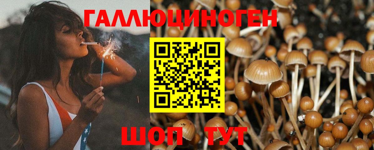 Галлюциногенные грибы Cubensis Озёры